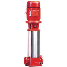 Yonjou High Lift Water Pump (QDL)